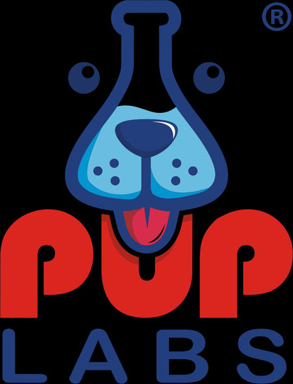 Advanced Dental Health for Dogs