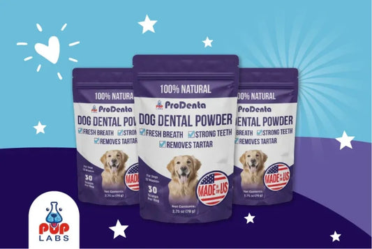 Advanced Dental Health for Dogs