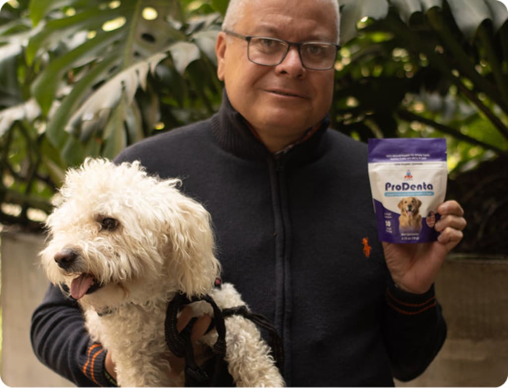 Advanced Dental Health for Dogs